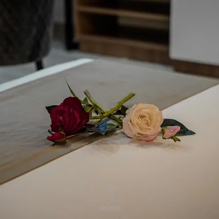 Jata 3* Τίρανα