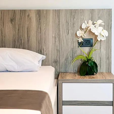 Jata 酒店 地拉那