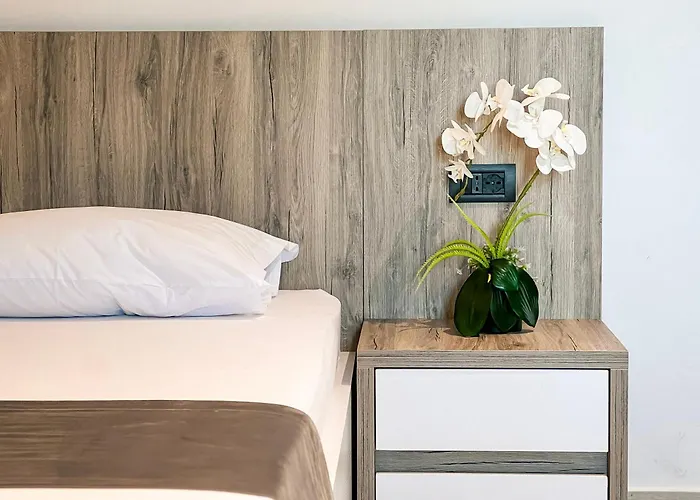 Jata 酒店 地拉那