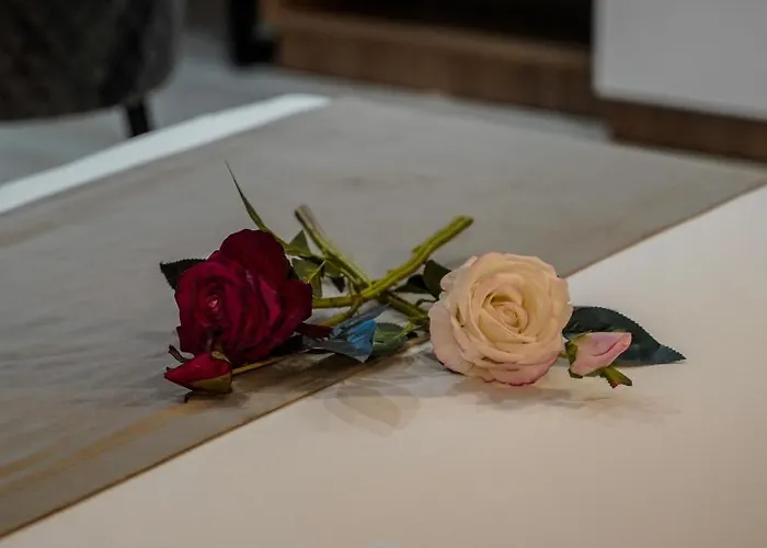 Jata 3* Τίρανα